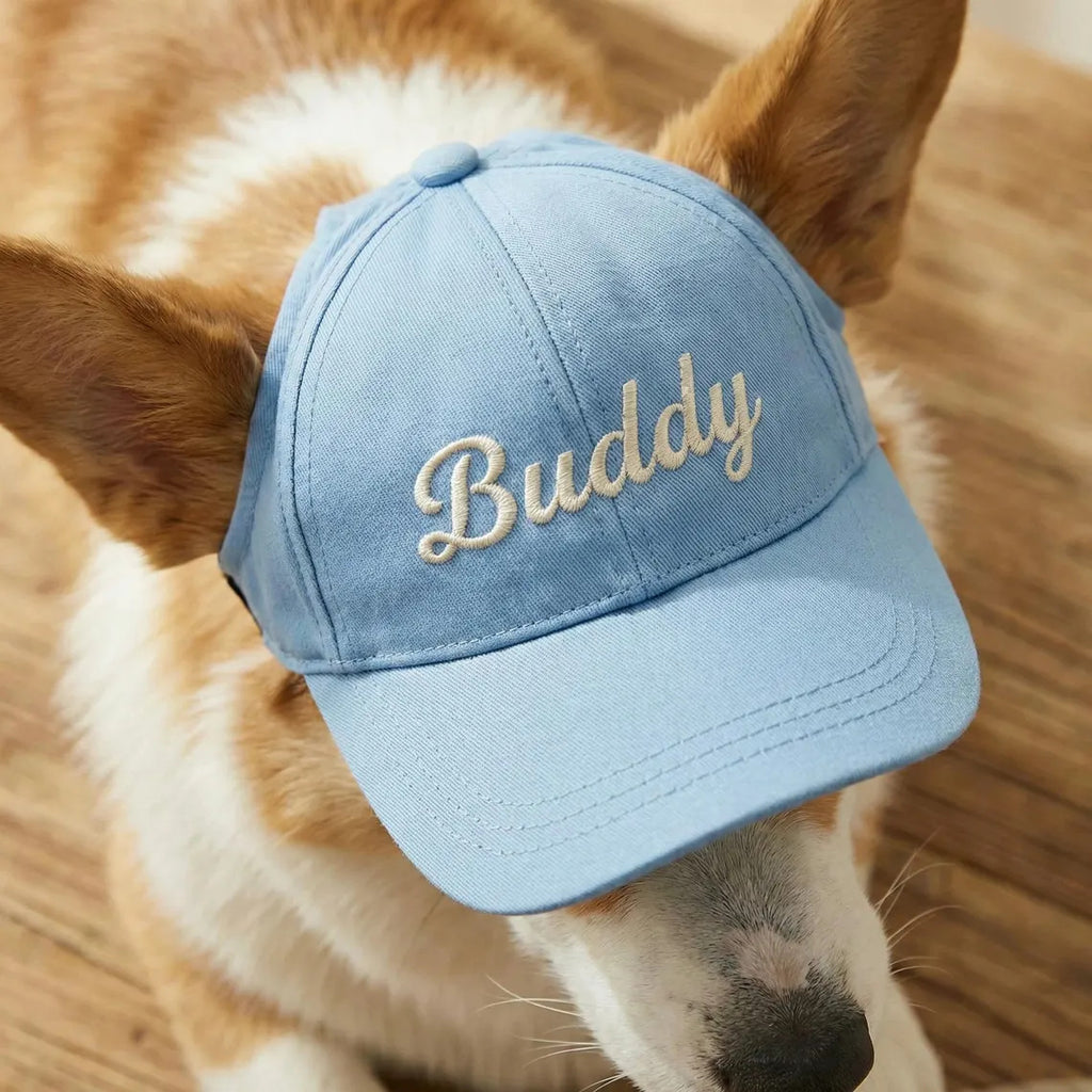 Corgi wearing a light blue baseball cap embroidered with the name Buddy