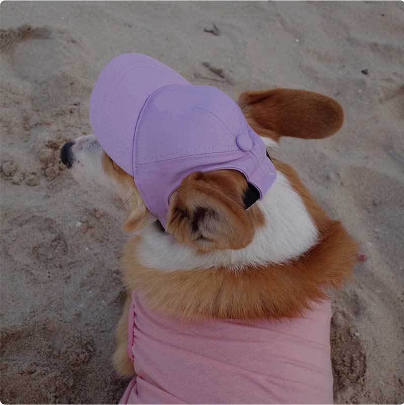 Personalized Dog Baseball Cap