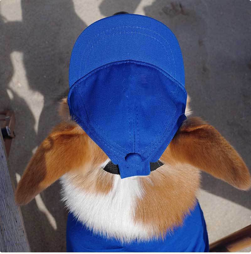 Personalized Dog Baseball Cap