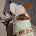 Personalized Dog Baseball Cap