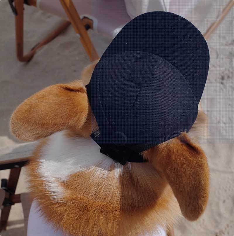 Personalized Dog Baseball Cap