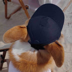 Personalized Dog Baseball Cap