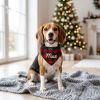Beagle wearing a red buffalo plaid Christmas bandana personalized with the name Max