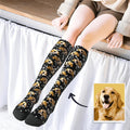 Custom photo socks printed with a golden retriever face on black, next to the original dog photo