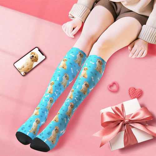 Knee-high pet socks covered in a golden retriever pattern on blue, with a gift box and the photo on a phone